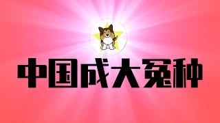 中国「一带一路」旗舰巨亏，又成大冤种！月薪两千坐得起高铁吗？美国大公司老板们对去北京没兴趣了｜一带一路｜印尼雅万高铁｜中国经济｜何立峰