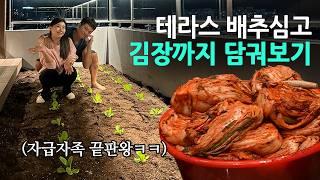 테라스 박살내서 김장까지. 김치 같이먹어요! | 김장김치 | 옥상텃밭