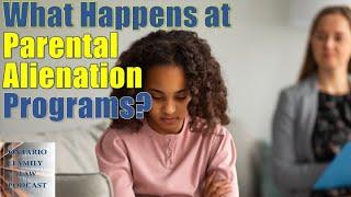 What Happens At Parental Alienation Treatment Programs According to Courtroom Testimony