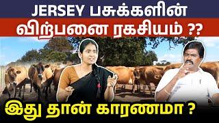 ஜெர்ஸி மாட்டு விற்பனையில் இவ்ளோ லாபமா இருக்கா? | Jersey Cow Farming Ideas in Tamil