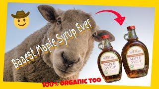 Organic Maple Syrup - Mill Gap Farms Organic Maple Syrup