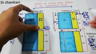 Renal system 17 | Effect of adding saline solution to extracellular fluid | Body fluid compartments