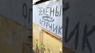 Корпорация недвижимости зелёный огурчик #юмор #funny #юмор2024