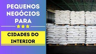 10 Negócios LUCRATIVOS para cidades PEQUENAS do interior