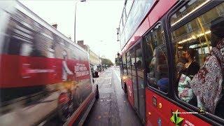 Are You Crazy! - Go Ahead London Bus