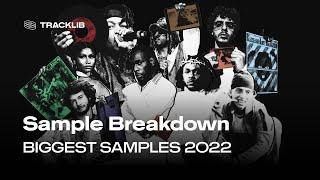 Sample Breakdown: The Biggest Samples 2022