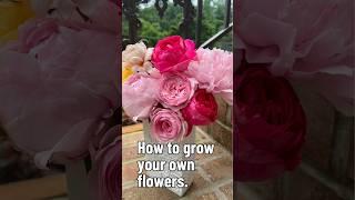 My easy tips to growing your own cut flower garden #growingflowers