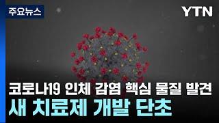 코로나19 인체 감염 핵심 물질 발견...새 치료제 개발 단초 / YTN