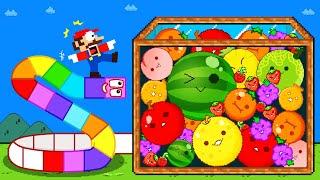 Mario vs Number Snake Escape the Watermelon Game (SUIKA) Mix Level Up Maze Mayhem (ALL EPISODES)