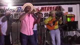 GALLINO CHITRE-TREMENDO VERSO- FIESTA DE CHOLIN-2020
