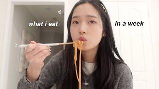 what i eat in a school week (korean food + realistic)