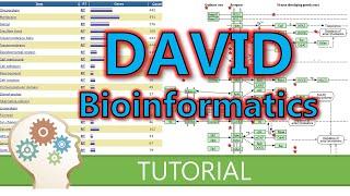 How to use DAVID for functional annotation of genes