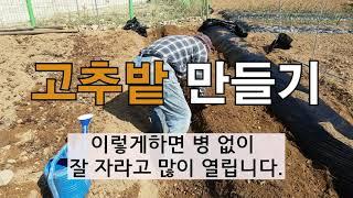 고추 밭 만들어 두둑 만들기 # 주말농장 # 고추심기 # 텃밭가꾸기