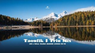 Trio Mix By @TaoufikOfficiel  I Like A Dream, Chasing Memories, Looking For Us  I Made In Morocco