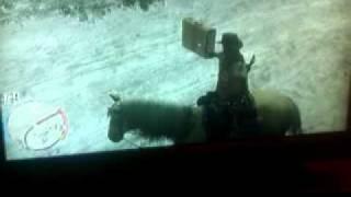 Suitcase Glitch, Red Dead Redemption