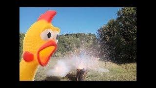  What happens if you blow up a chicken carcass Курица против петарды