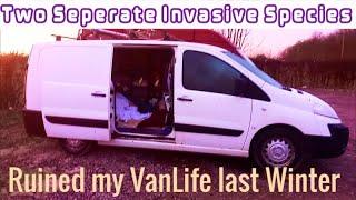 UK VanLife S15E15 Should You Buy a Van From Birmingham?