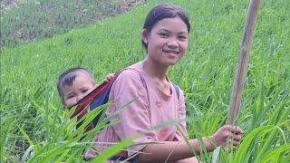 A 15-year-old single mother earns money by working as a laborer and harvesting fruit to sell