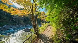 Walking in Tokyo Mitake Valley・4K HDR (fixed)