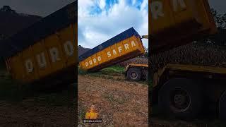 COLHEITA DO SOJA #explore #renato_c_correa #agro #agriculturaregenerativa #fazenda
