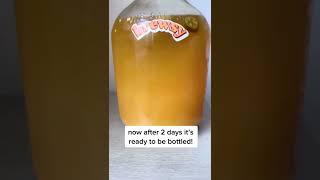 homemade hot honey mead: update