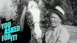 The Horses That Power Hollywood Westerns (1959) | You Asked For It