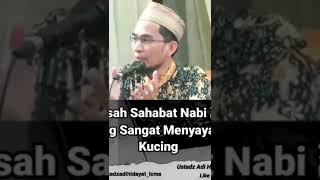 tentang kucing di dalam islam ,ceramah UAH