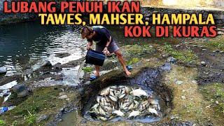 TRENDING!!! Nekad Kuras Sarang Ikan Tawes Mahser Hampala Dan Lihat Hasilnya