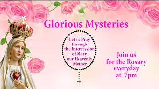 The Holy Rosary | Glorious Mysteries | 14August, 2024