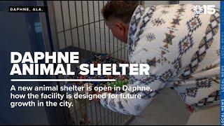 City of Daphne opens new animal shelter focused on comfort and community - WPMI NBC 15