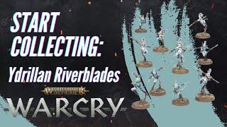 Start Collecting Warcry with Ydrilan Riverblades