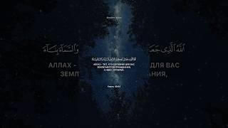 Сура 40. Гафир (Прощающий)аяты 64-65 Обайда Муафак #quran #surahgafir #sky #коран #небо #shorts
