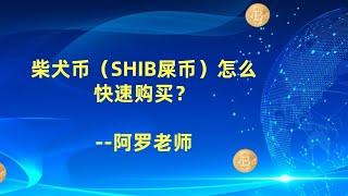 柴犬币（SHIB屎币）怎么快速购买--数字货币区块链投资，火币，okex，币安交易所视频教程