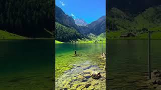 Swiss Lake  #travel #swissexperience #scenicviews #switzerland #shorts #amazing #lake