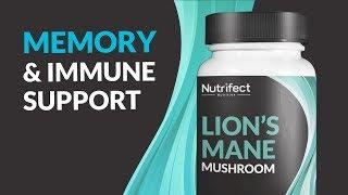 Lions Mane Supplement Hightlight