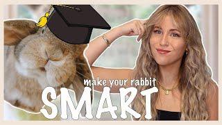 Make Your Rabbit Smarter