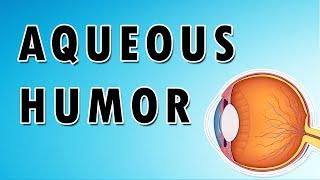 Aqueous Humor