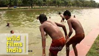 Young boys jump into the India Gate pond, in summer