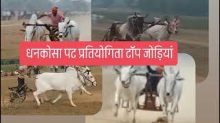 धनकोसा पट प्रतियोगिता सेकंड दौड़ top jode   dhankosa pat pratiyogita katangi balaghat