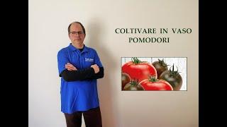 7# COLTIVARE IN VASO POMODORI