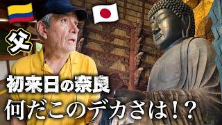 The biggest sitting Buddha in Japan struck him speechless | Nara, Japan