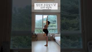 혼자서도 잘노는 #임산부브이로그 #임산부운동 #shortvideo