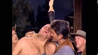 Bonanza - The Cartwright "Brothers"