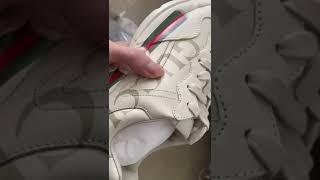 Gucci Sneaker Hypedripz Review