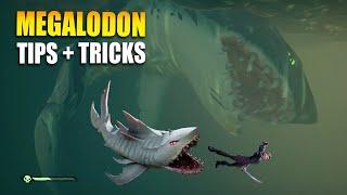 How to BEAT the Megalodon in Sea of Thieves (2024 Guide)