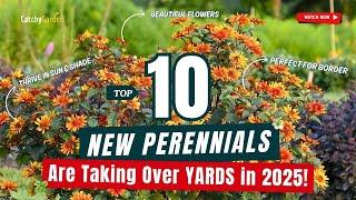 TOP 10 NEW PERENNIALS Are Taking Over YARDS in 2025!  // Gardening Ideas