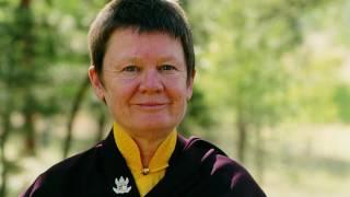 (Guided Meditation) Increase Mindfulness, Awareness, Calm Abiding & Special Insight  Pema Chodron