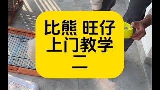 如何让狗狗学会冷静