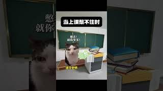 #猫meme #cat #猫meme小剧场 #猫meme剧场