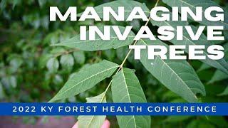 Managing Invasive Trees